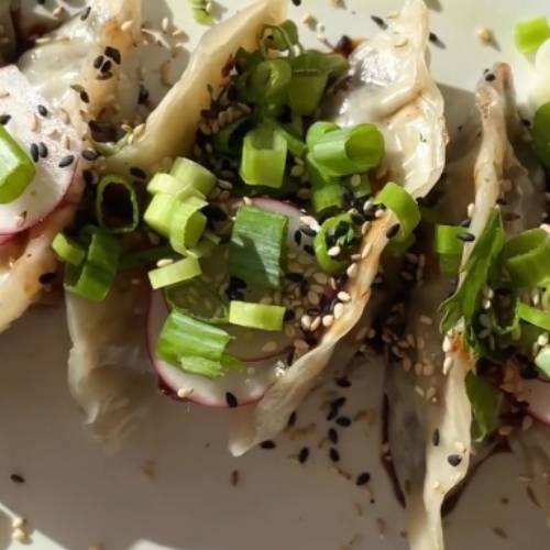 Delicious Vegan Dumplings You’ll Love!